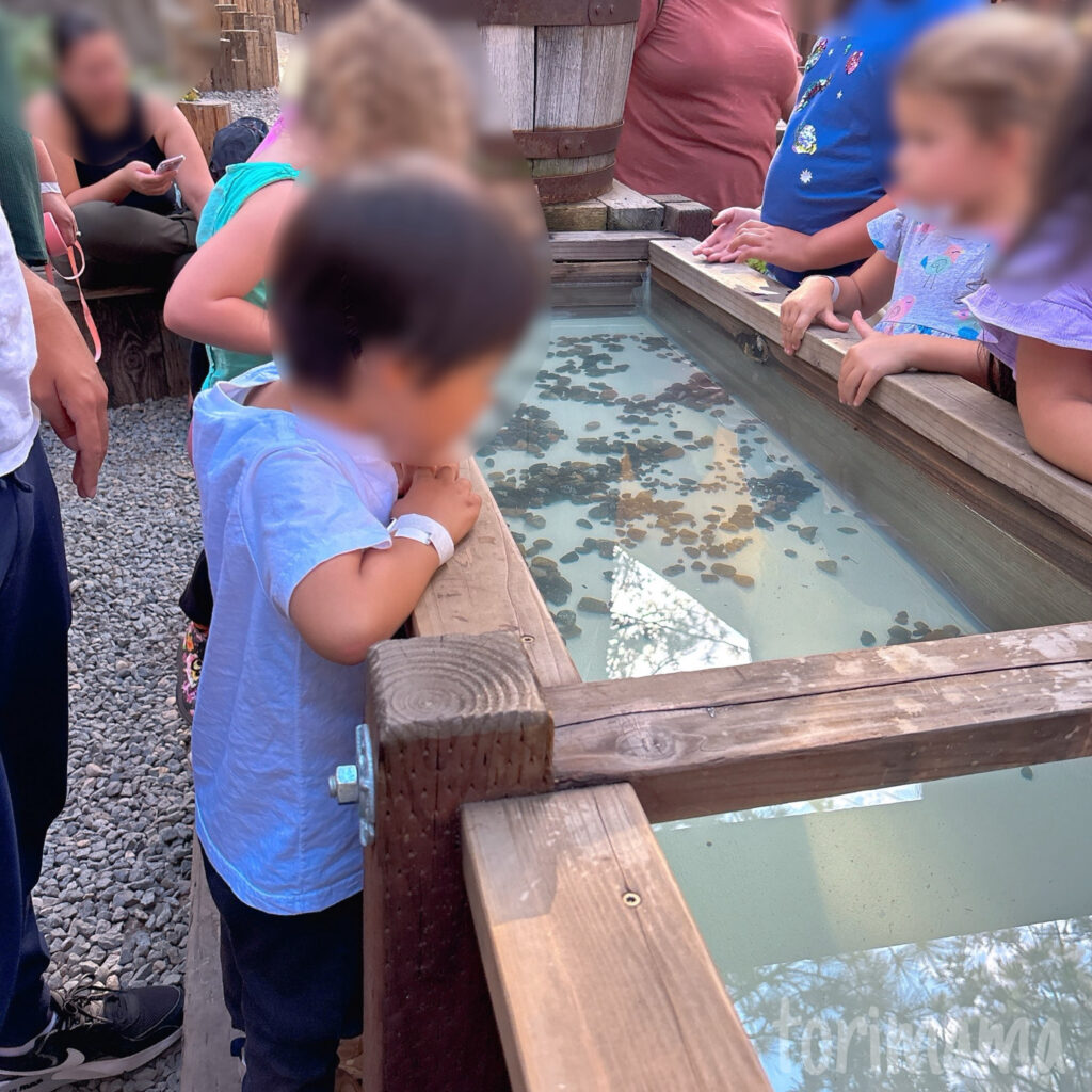 gold panning2